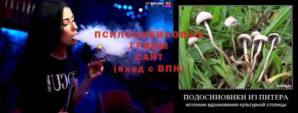 крисы Володарск