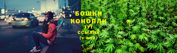 крисы Володарск