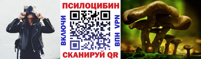 Псилоцибиновые грибы Psilocybe  Калязин 